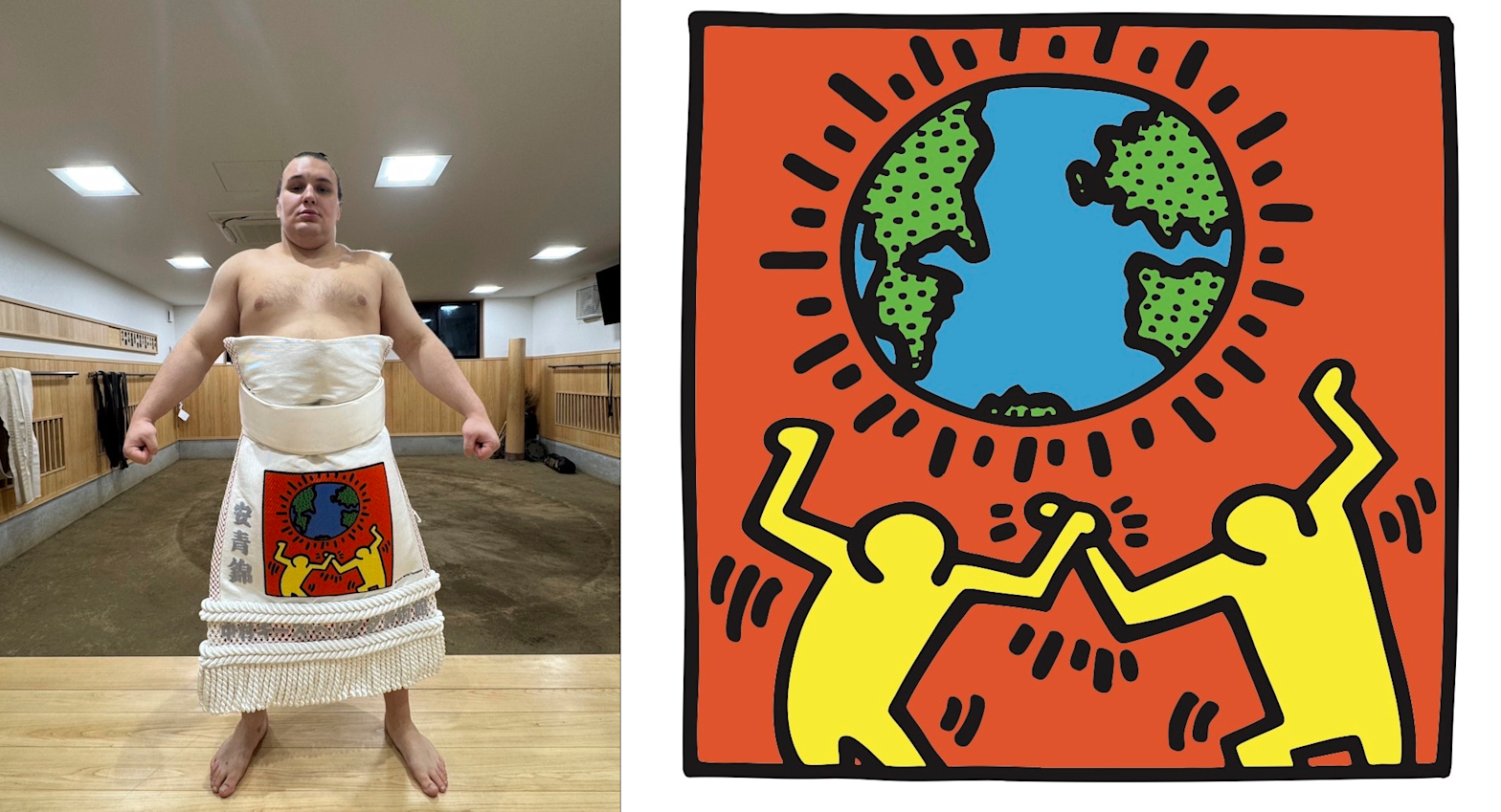 安青錦の化粧まわし