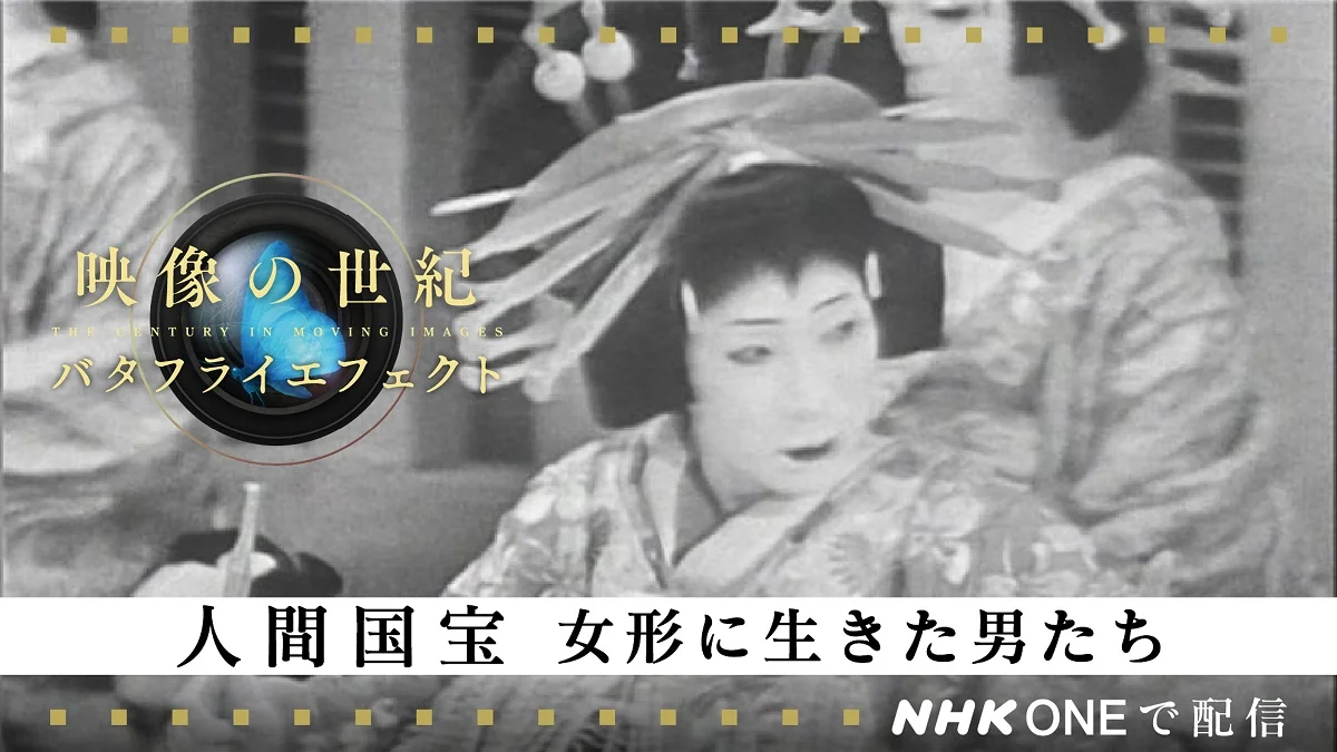 �w�f���̐��I�o�^�t���C�G�t�F�N�g/�l�ԍ��󏗌`�ɐ������j�����x